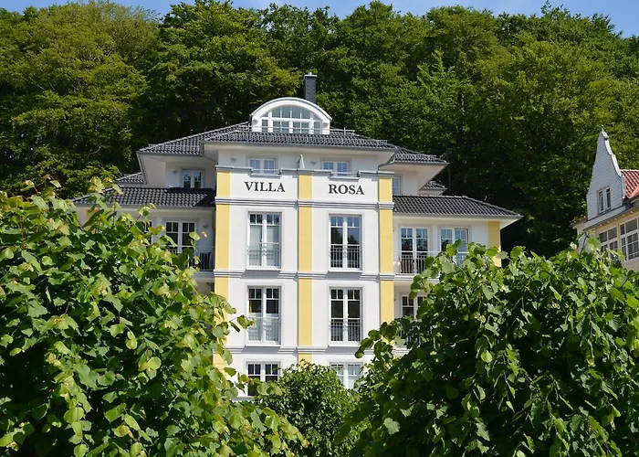 Rosa - Apt. 18 Sellin (Rugen)